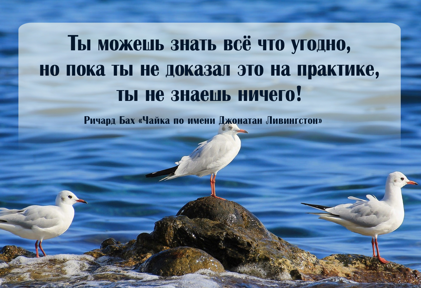 спортивный зал
