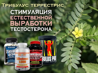 как повысить тестостерон