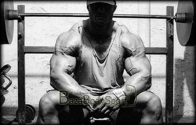 как набрать мышечную массу