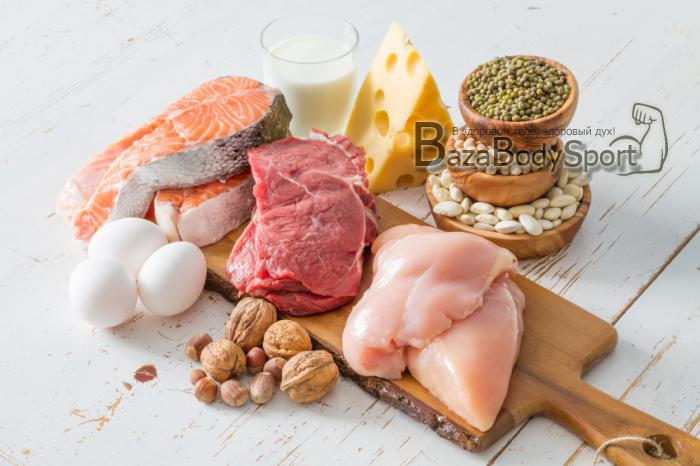 белковые продукты