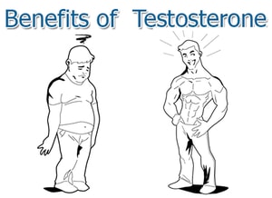 анализы крови для спортсменов