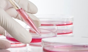 анализы крови для спортсменов