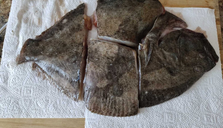 Калкан (камбала) черноморская рыба – источник аминокислот