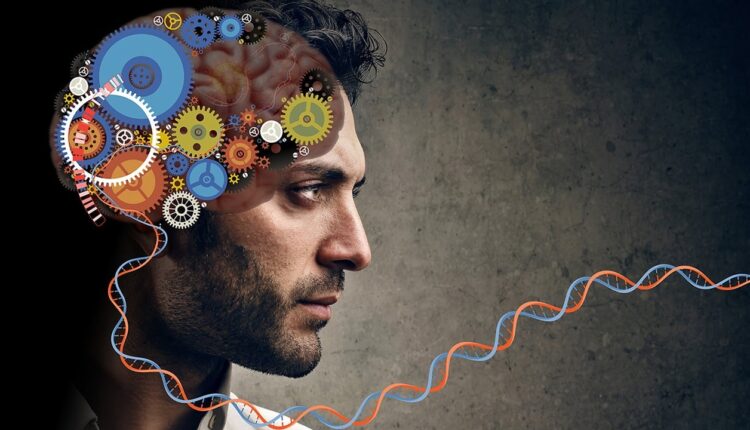 Старение мозга – симптомы, как улучшить работоспособность