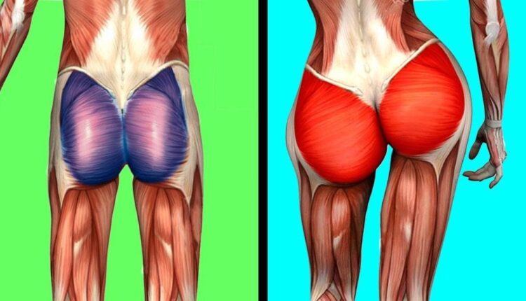 Как накачать ягодицы без тренажерного зала